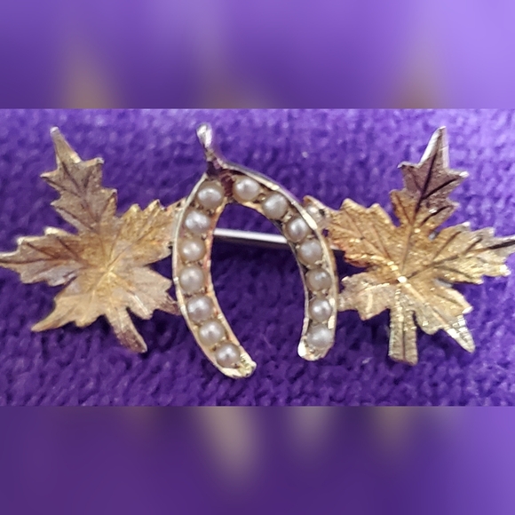 Victorian 14kg Brooch - Picture 1 of 9